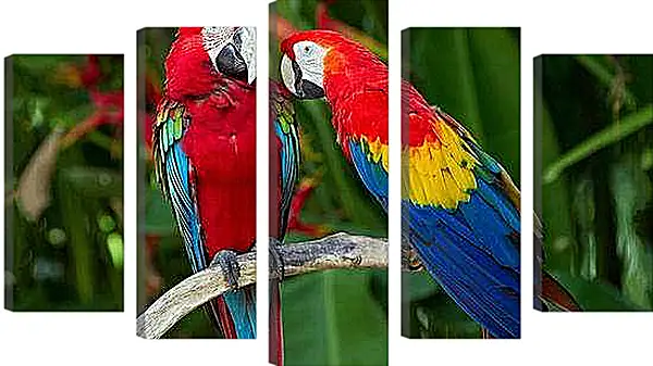Модульная картина - Попугайчики
