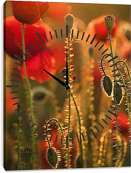 Часы картина - Коробочки маков