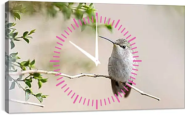 Часы картина - Колибри