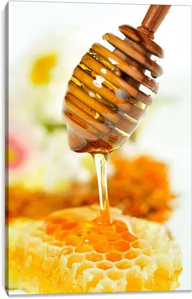 Постер на подрамнике - Медовые соты. Сладкое угощение.