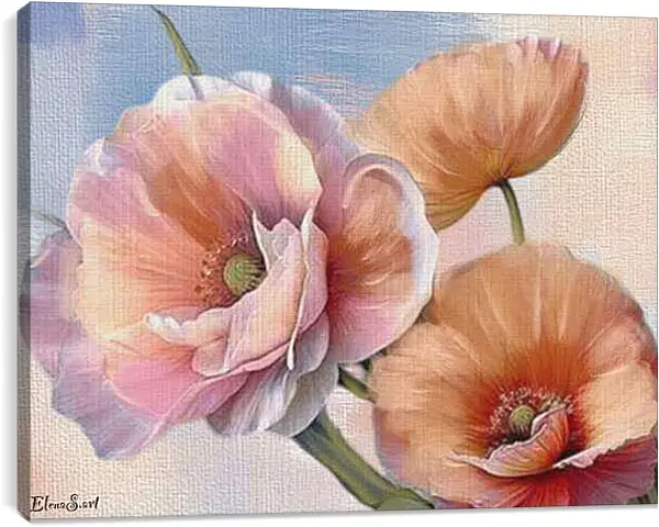 Постер на подрамнике - Flowers 33