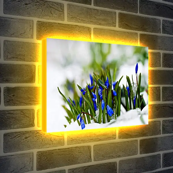 Лайтбокс световая панель - Весна