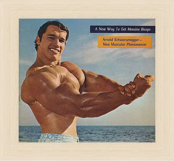 Картина в раме - Арнольд Шварценеггер (Arnold Schwarzenegger)