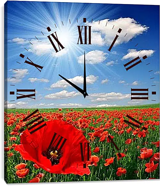Часы картина - Красивый мак на поле