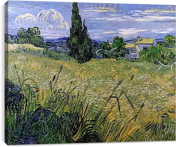 Постер на подрамнике - Green Wheat Field with Cypress. Винсент Ван Гог