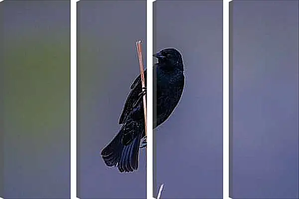 Модульная картина - Чёрный ворон на палке
