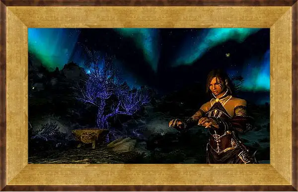 Картина в раме - The Elder Scrolls V: Skyrim

