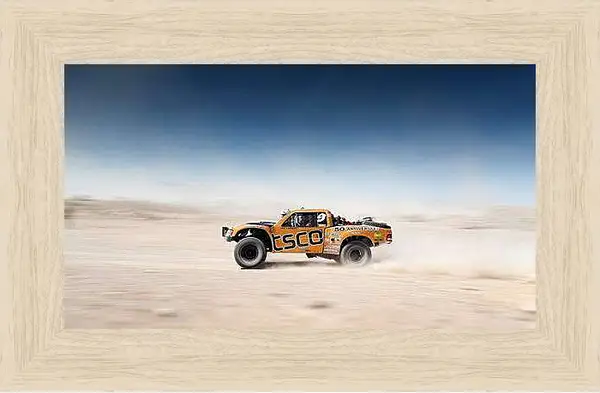 Картина в раме - Спорт