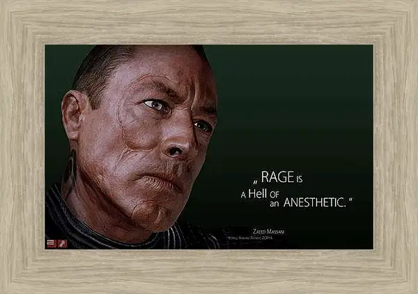 Картина в раме - Mass Effect 2