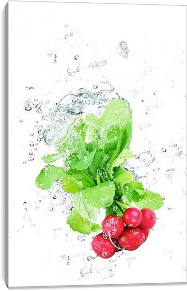 Постер на подрамнике - Редис. Свежесть.