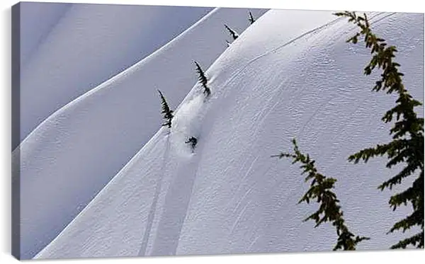 Постер на подрамнике - Спуск по белому снегу