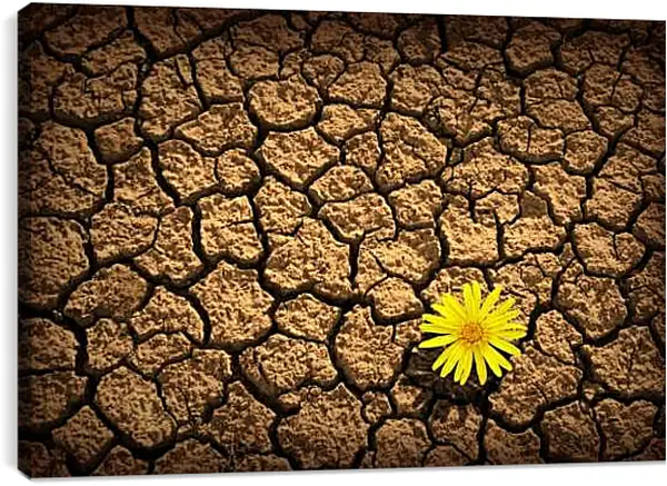 Постер на подрамнике - Возрождение