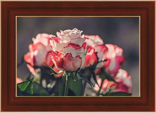 Картина в раме - Розы