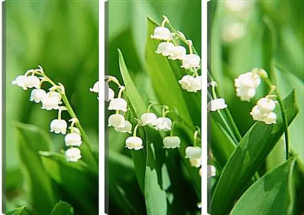 Модульная картина - Ландыши