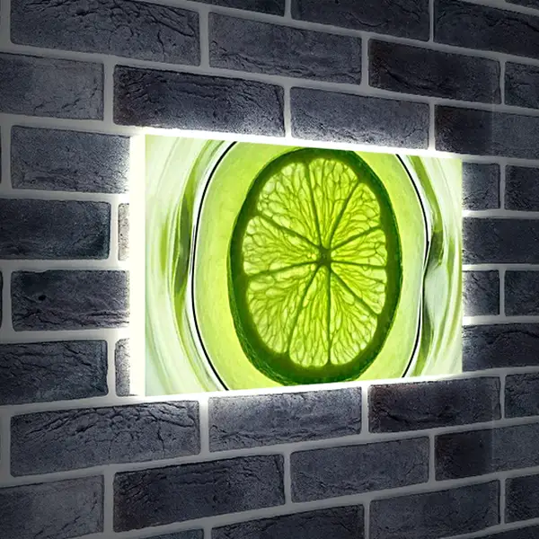 Лайтбокс световая панель - Лайм. Свежесть Лайма.