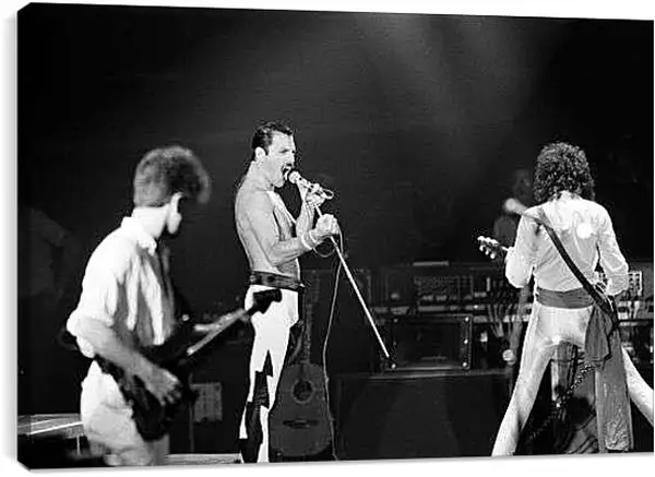 Постер на подрамнике - Квин концерт