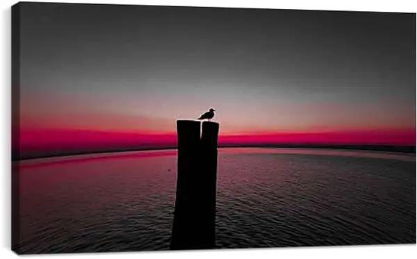 Постер на подрамнике - Чайка