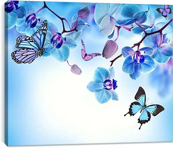 Постер на подрамнике - Бабочки и голубые орхидеи