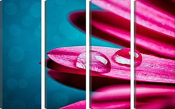 Модульная картина - Гербера