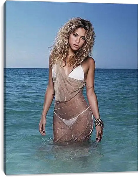 Постер на подрамнике - Shakira - Шакира
