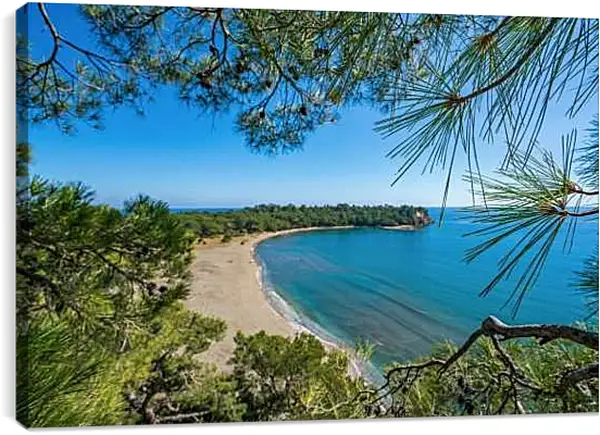 Постер на подрамнике - Вид на пляж и море через ветки