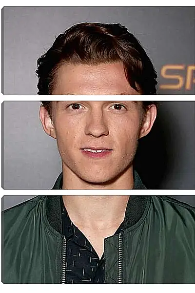 Модульная картина - Том Холланд. Tom Holland