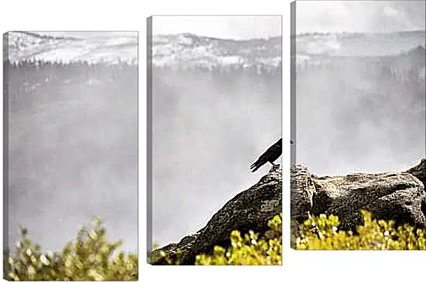 Модульная картина - Чёрный ворон на камне на фоне скалы