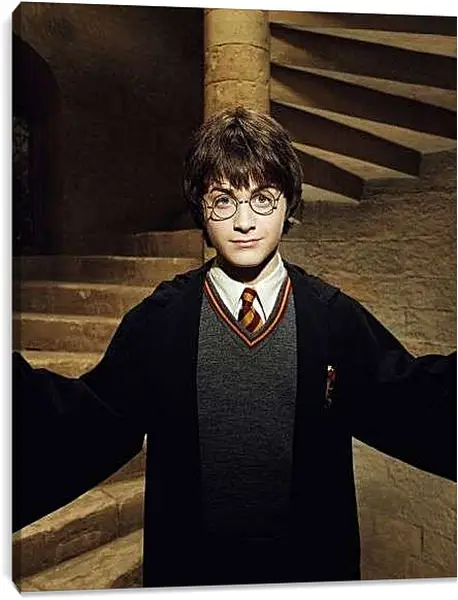 Постер на подрамнике - Гарри Поттер и Тайная комната