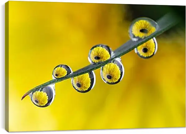 Постер на подрамнике - Отражение