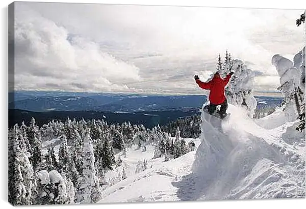 Постер на подрамнике - Перед прыжком