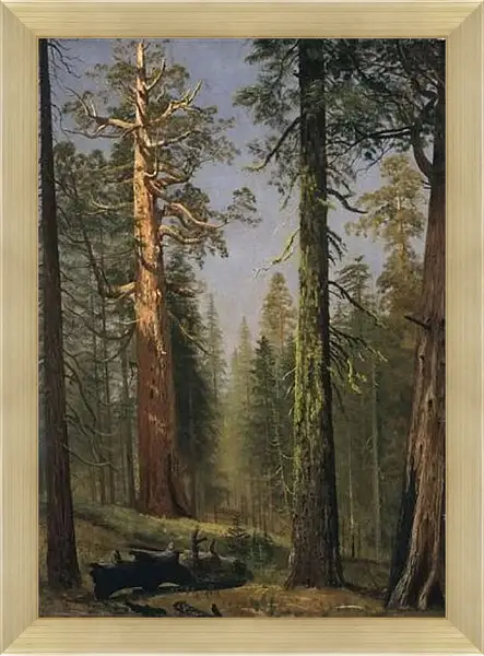 Картина в раме - The Grizzly Giant Sequoia, Mariposa Grove, California. Альберт Бирштадт