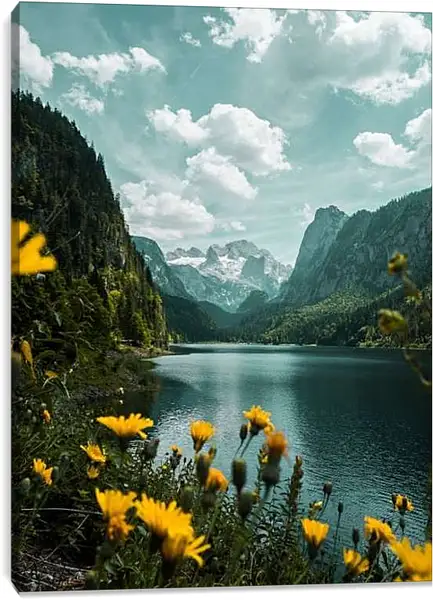 Постер на подрамнике - Одуванчики и горы