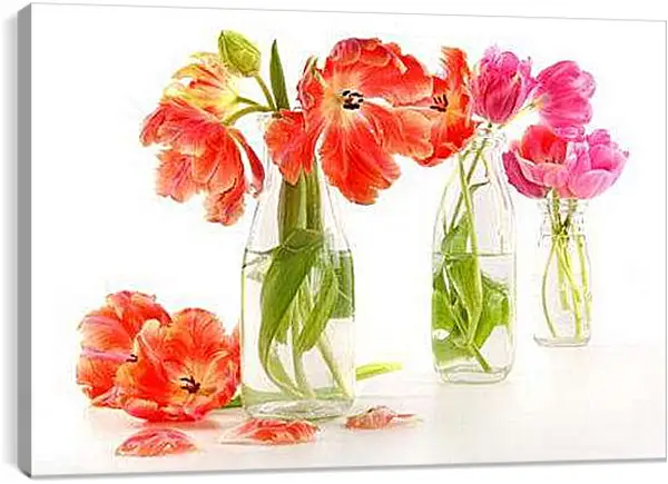Постер на подрамнике - Тюльпаны