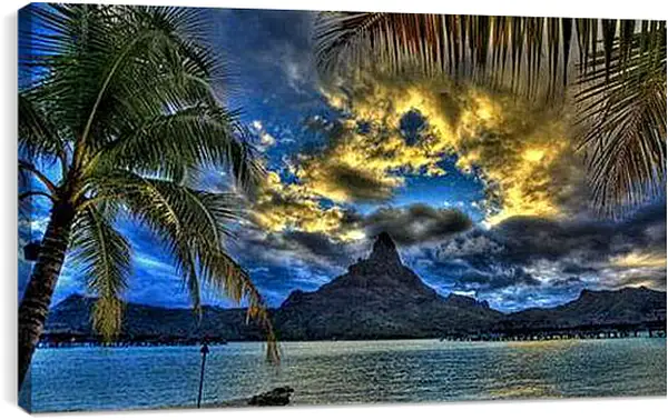 Постер на подрамнике - Одинокая пальма на пляже