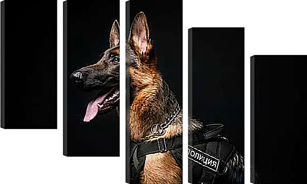 Модульная картина - Овчарка