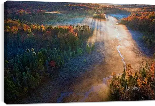 Постер на подрамнике - Осень