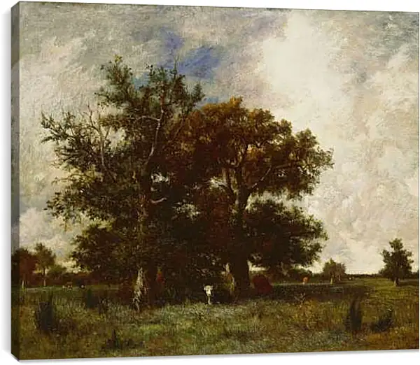 Постер на подрамнике - Fontainebleau Oaks. Жюль Дюпре