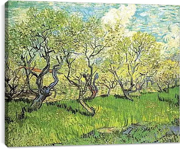 Постер на подрамнике - Orchard in Blossom 2. Винсент Ван Гог