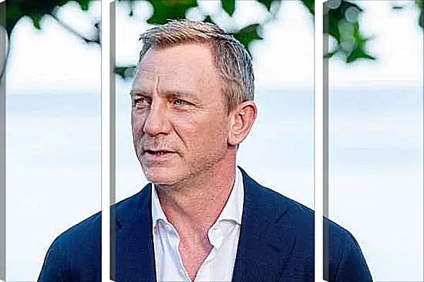 Модульная картина - Дэниел Крейг. Daniel Craig