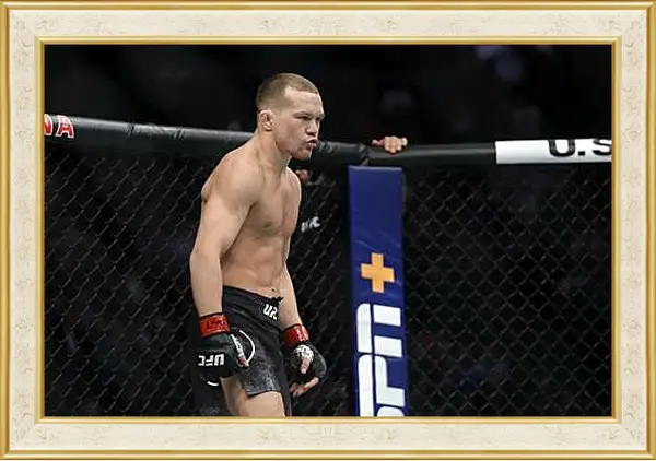 Картина в раме - UFC. MMA. Пётр Ян