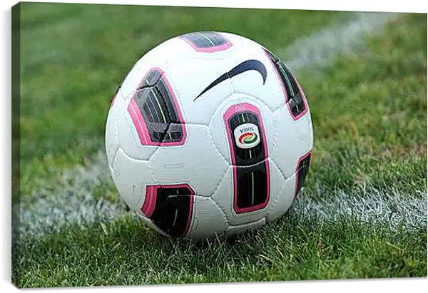 Постер на подрамнике - Мяч на траве