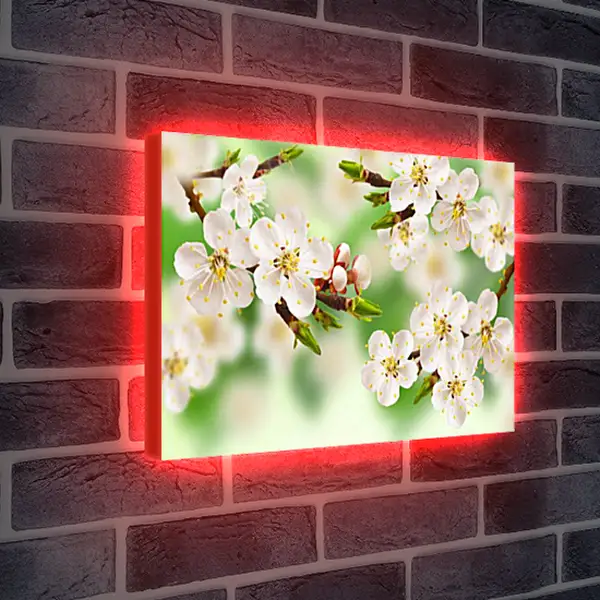 Лайтбокс световая панель - Весна