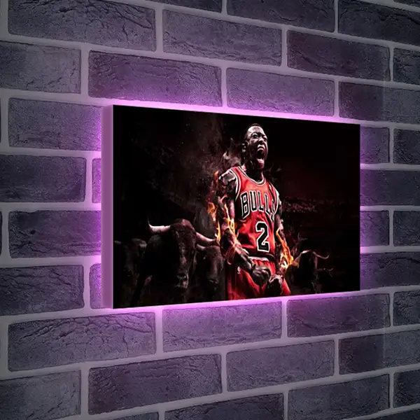 Лайтбокс световая панель - Чикагские быки