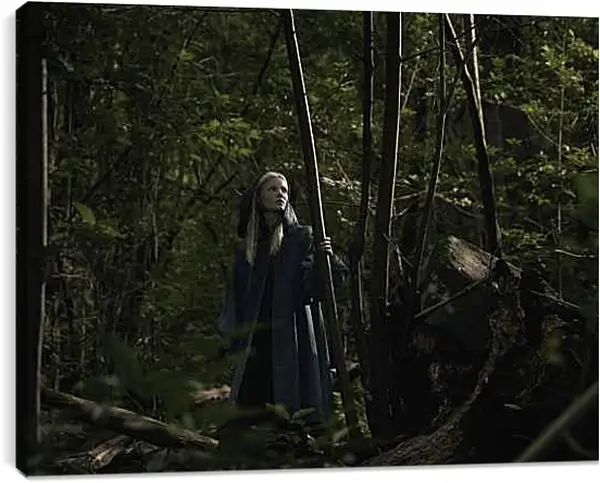 Постер на подрамнике - Ведьмак. The Witcher