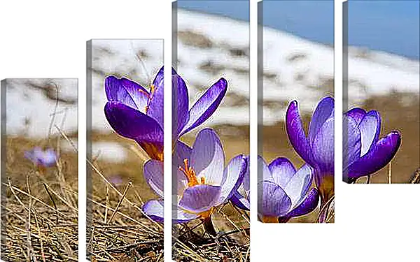 Модульная картина - Весна