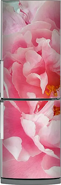 Магнитная панель на холодильник - Розовый пион