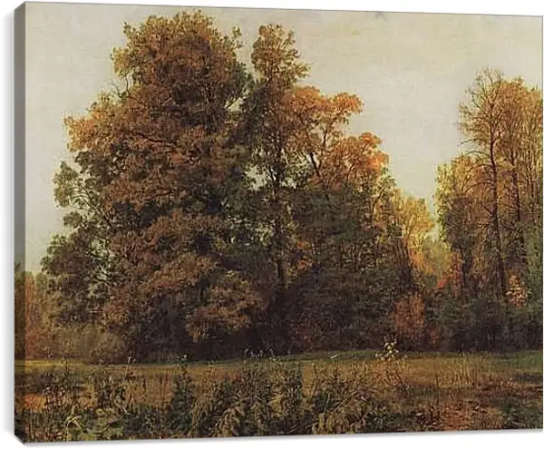 Постер на подрамнике - Осень. Иван Шишкин