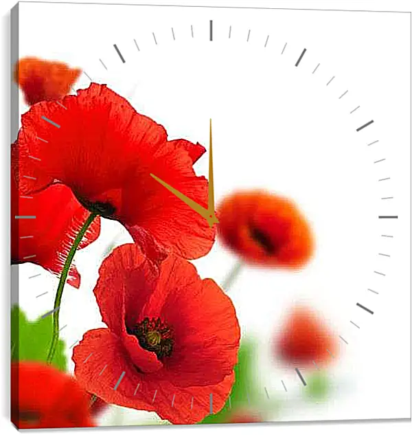 Часы картина - Красные маки
