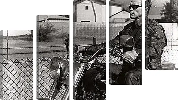 Модульная картина - Арнольд Шварценеггер на мотоцикле. Терминатор 2