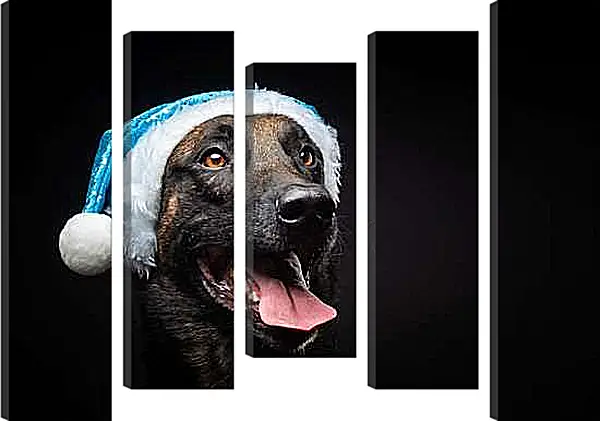 Модульная картина - Собака в новогодней шапке